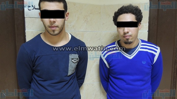 المواطن
