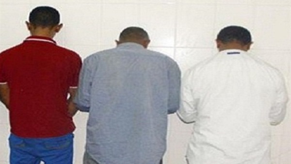ارشيفية