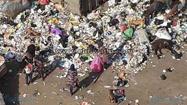 المواطن