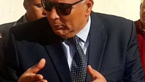 محافظ الوادي الجديد