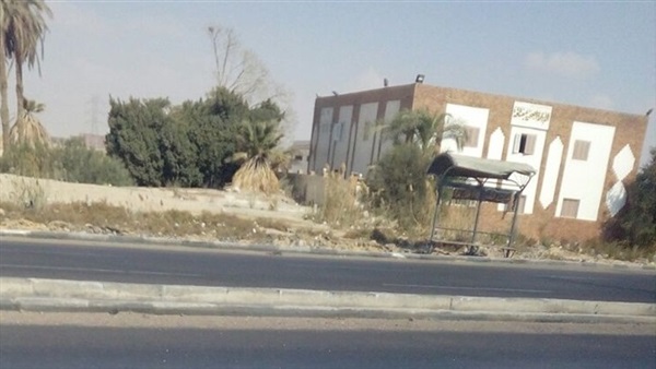 المواطن