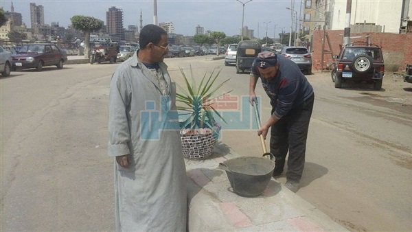 المواطن