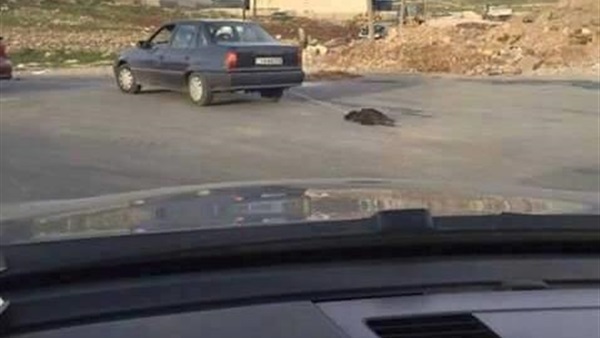 المواطن