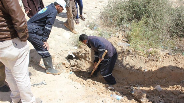 إزالة 82 حالة تعد