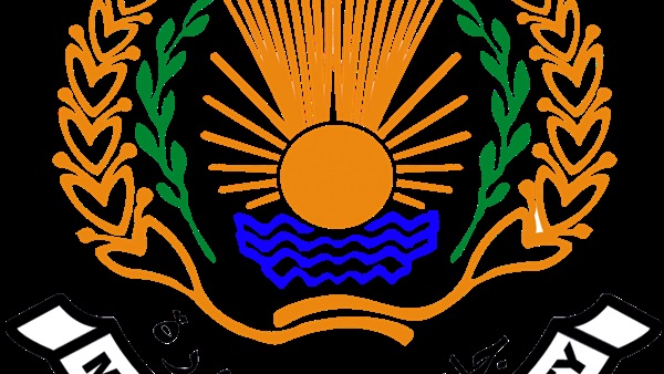 جامعة المنصورة