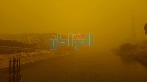 المواطن