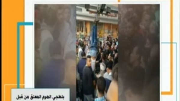 المواطن