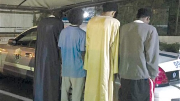 المواطن