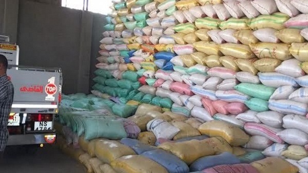 المواطن