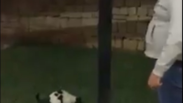 المواطن