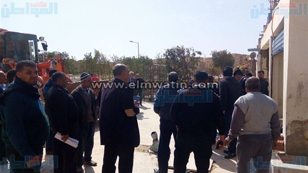 المواطن