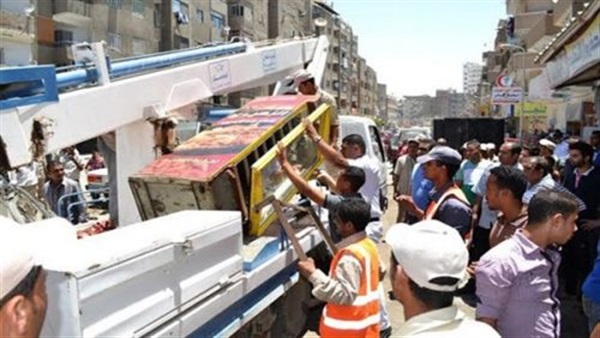 إعدام 16 كلبا ضالا