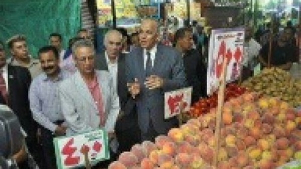بالصور .. محافظ الوادي
