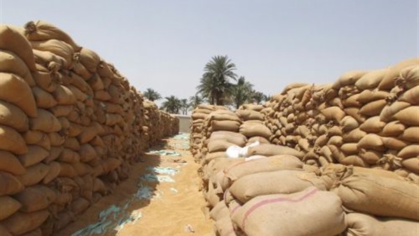 ارتفاع توريد محصول