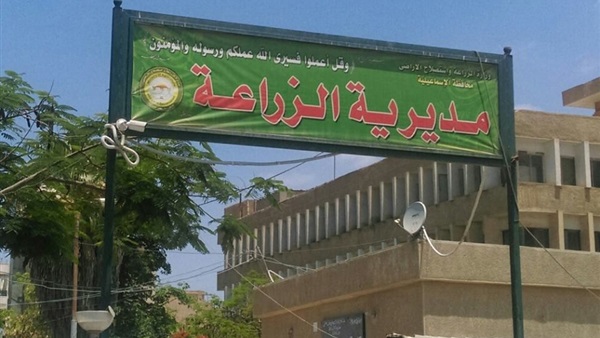 زراعة قناة السويس