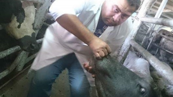جانب من الحدث