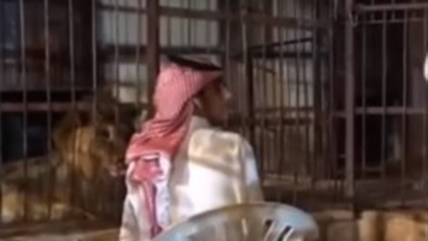 المواطن