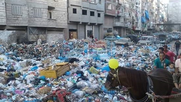 القمامة فى الإسكندرية