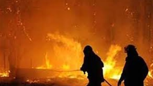 صورة أرشيفية