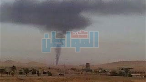 المواطن