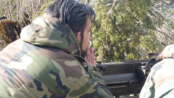 المواطن