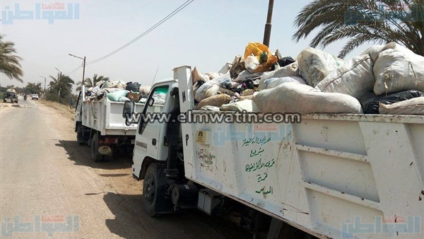 المواطن