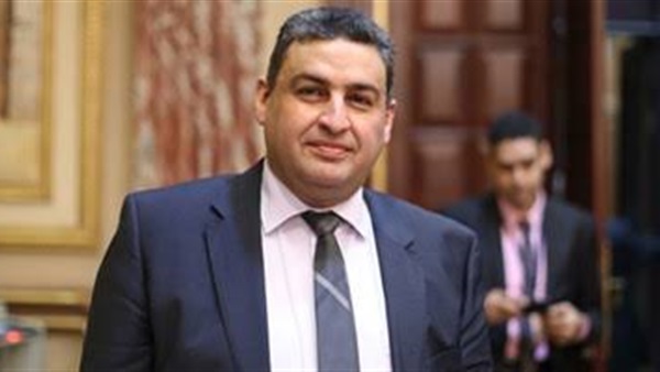 النائب الدكتور محمد