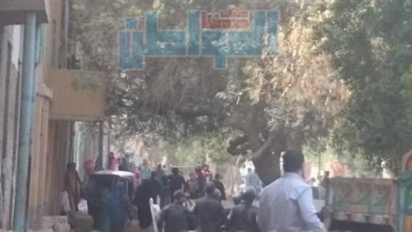 المواطن