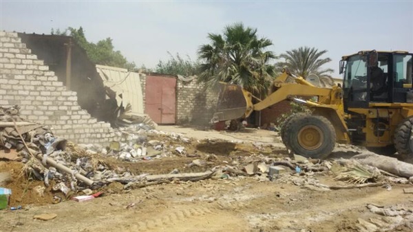 المواطن