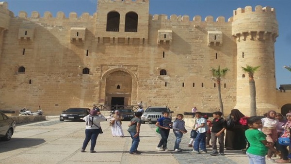 المواطن
