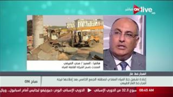 المواطن