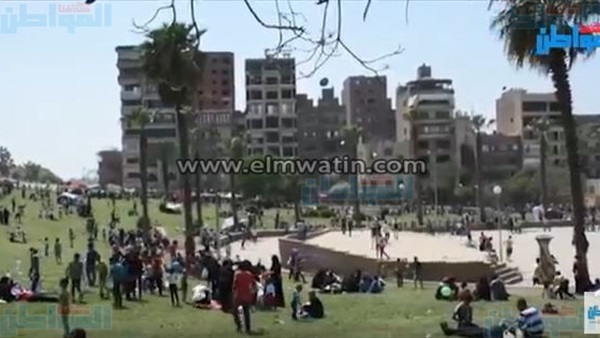 المواطن