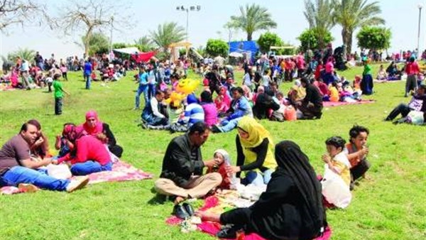 المواطن
