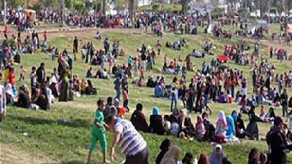 المواطن
