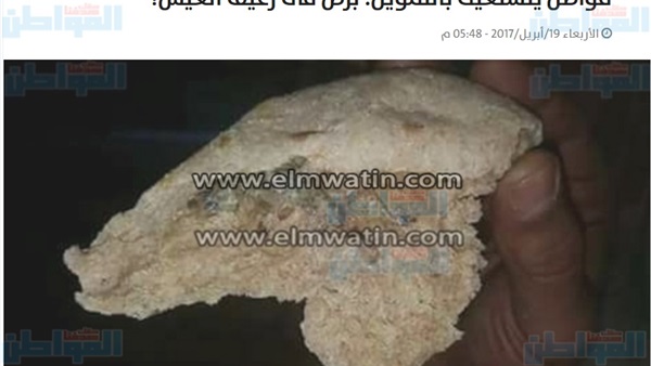 المواطن