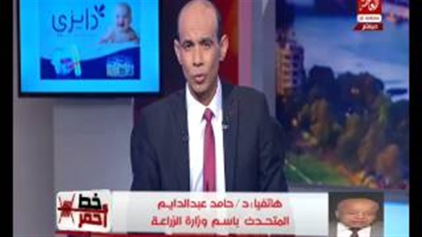 المواطن