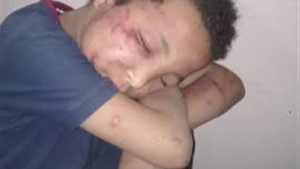 المواطن