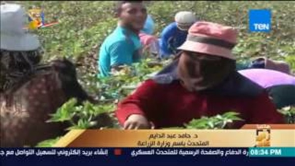 المواطن