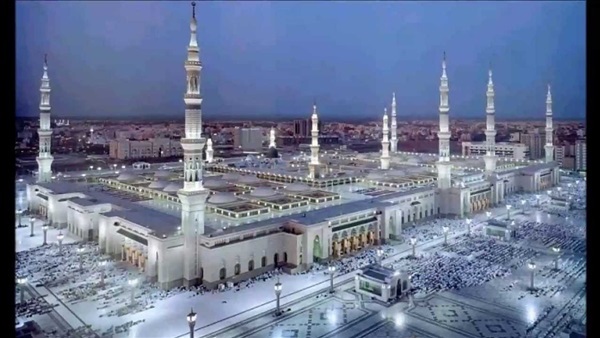 المواطن
