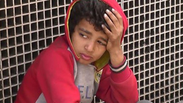 المواطن
