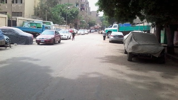 المواطن