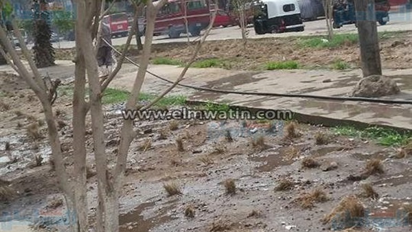 المواطن