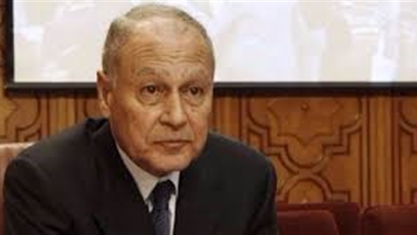 أبو الغيط