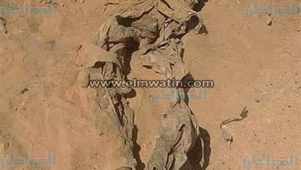 المواطن