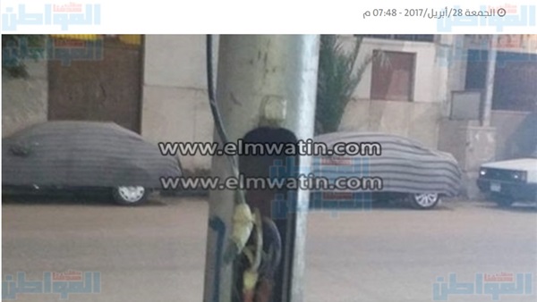 المواطن