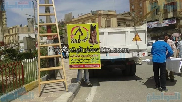 المواطن