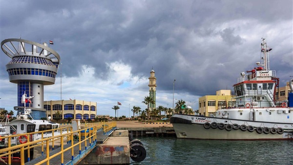 المواطن