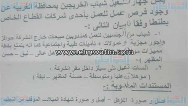 المواطن