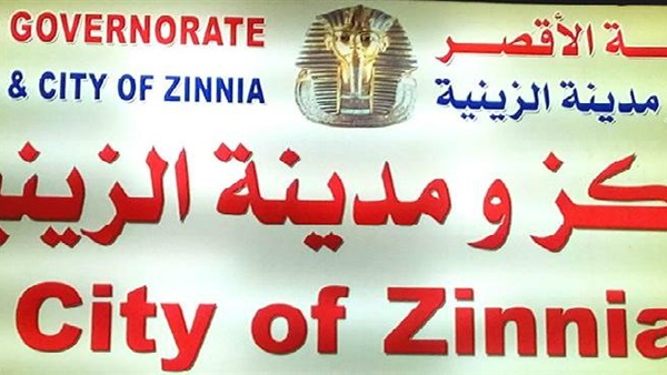 مجلس مدينة الزينية