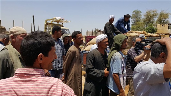 المواطن